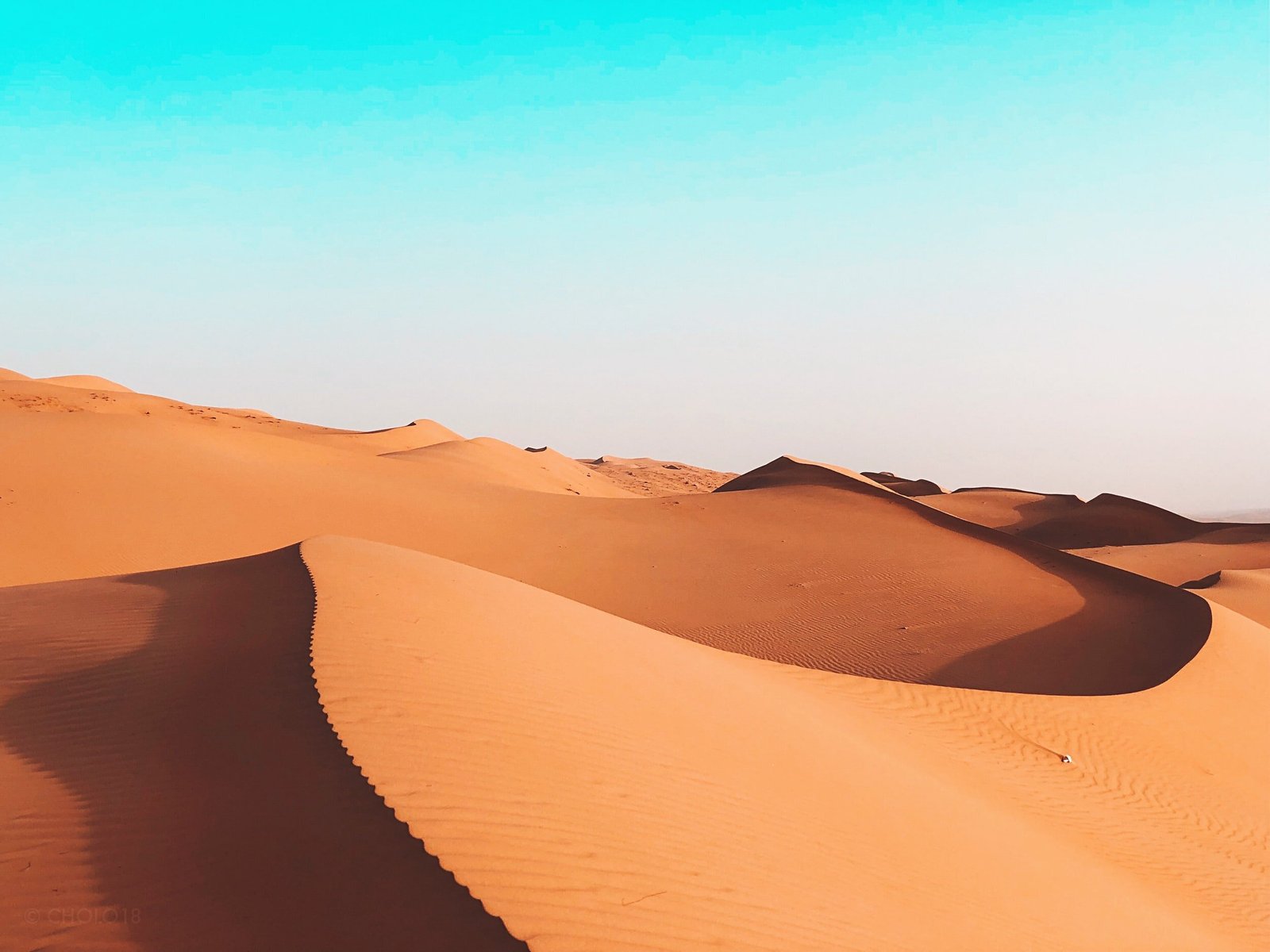 Wahiba sands and Wadi Bani Khalid CODE: OD – 04