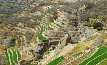 Jebel Akhdar CODE: OD – 03